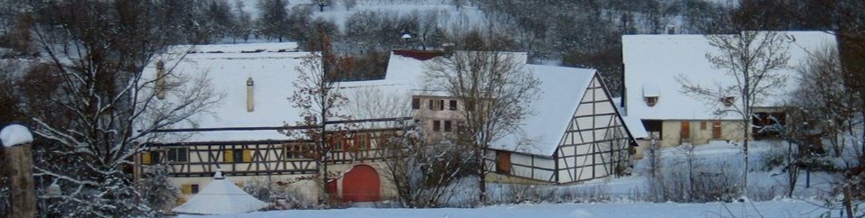 Hauptgrafik Eingang gross