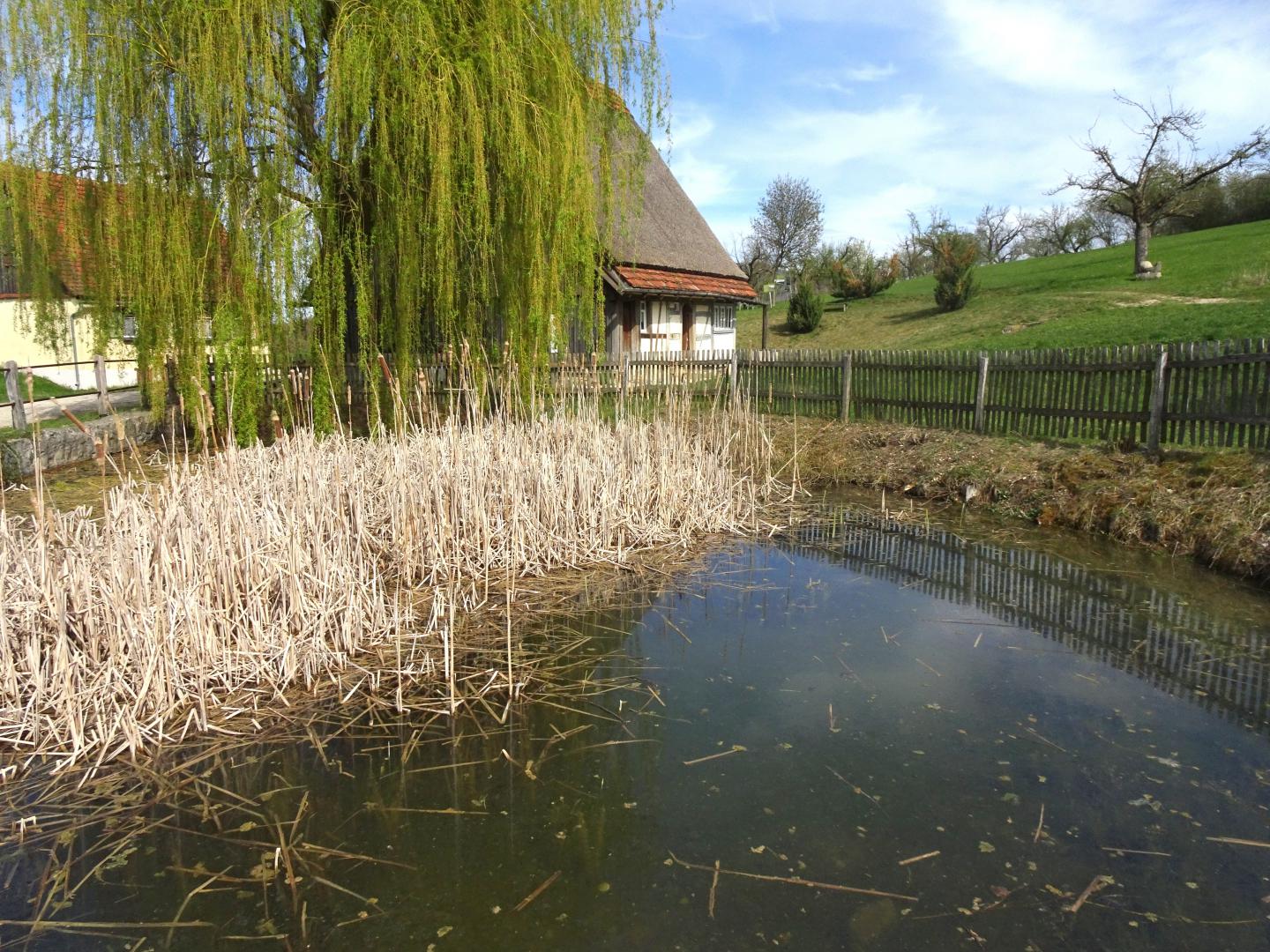 DSC02210 AUTOR Manfred Schaeffler 2